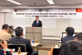 Director of the Economic Development Department at JICA Shimokawa Takao speaks at the event (Photo: VNA)