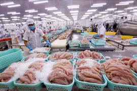 Vietnam invests over 450 million USD overseas in 10 months