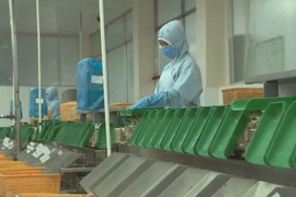 Exports regain growth momentum