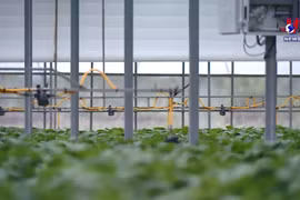 Vietnam, RoK cooperate to develop smart farming