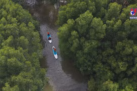 Can Gio expected to become eco-tourism city