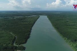 Vietnam takes steps towards net zero emissions