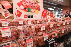 Bac Giang posts record revenue from lychee in 2023 crop