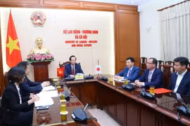 Vietnam, Japan cooperate to address arising issues related to trainees