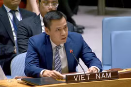 Ambassador Dang Hoang Giang, Permanent Representative of Vietnam to the UN, speaks at the UNSC debate on threats on cyberspace (Photo: VNA)