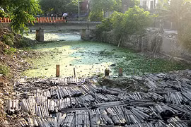 Time to think seriously of rural pollution