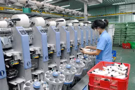 Soc Son suburban district to become industrial centre
