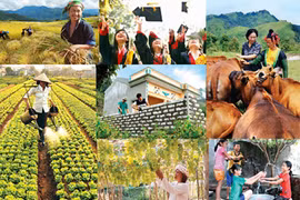 Vietnam’s MDG implementation over 15 years reviewed