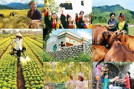 Vietnam’s MDG implementation over 15 years reviewed