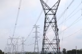 Dong Nai: 99.49 pct of households access national power grid