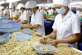 Conference boosts agricultural export