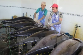 Tuna exports to Canada rise 60 percent