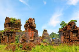 Quang Nam to open bird’s-eye-view of My Son Sanctuary for tourists