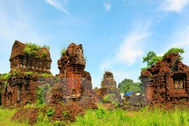 Quang Nam to open bird’s-eye-view of My Son Sanctuary for tourists