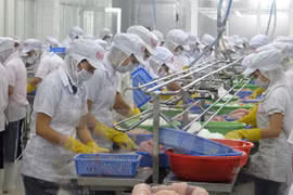 More investment projects land in Tien Giang province