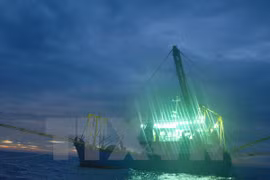 Vietnam, China hold fifth negotiation round on cooperation at sea