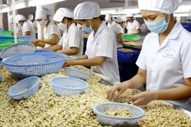 Agricultural production urged to keep up with market demand
