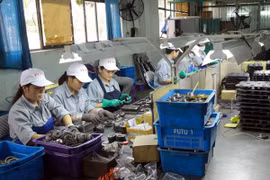 Indian businesses eye investment opportunities in Nam Dinh