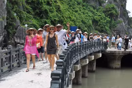 Foreign tourist numbers start to recover