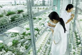Vietnam, India boost agricultural cooperation