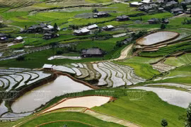 Yen Bai showcases series of culture, tourism events