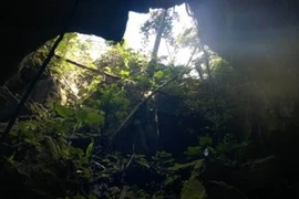  New cave discovered in Cha Noi forest