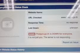  Thai government websites shut down by protestors