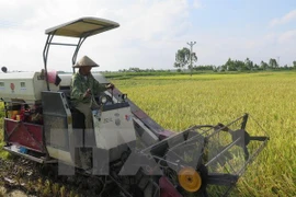 Vietnamese, Lao localities forge stronger collaboration