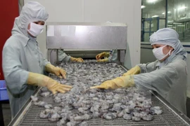 Vietnam’s shrimp exports to prosper