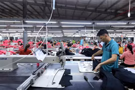 Many textile and garment businesses have received orders to be fulfilled until the fourth quarter. (Photo: VietnamPlus)