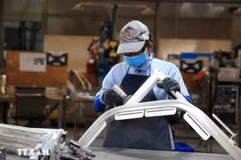 A factory of a foreign invested company in Dong Nai province (Photo: VNA)