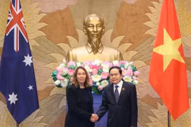 NA Chairman Tran Thanh Man (right) and President of the Australian Senate Sue Lines at their meeting in Hanoi on July 24. (Photo: VNA)