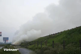 Burning rice straw after the harvest season is a popular practice in the suburbs of Hanoi. (Illustrative photo: VietnamPlus)