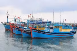 Vietnam has been working hard to carry out the EC’s recommendations about IUU fishing prevention and control. (Illustrative photo: VNA)