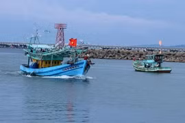 Fishing vessels in the Duong Dong river mouth of Phu Quoc island city, Kien Giang province (Photo: VNA)