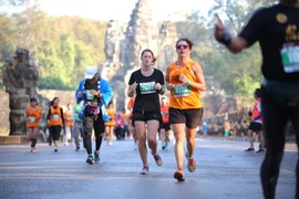 Illustrative image (Photo: AIMS)