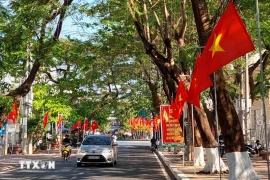 A street adorned with flags and banners in Ca Mau city of Ca Mau province. The 2025 Tet holiday will last from January 25 to February 2. (Photo: VNA)