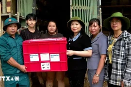 Relief from the Australian Embassy is presented to typhoon-hit residents in Hong Ha ward of Yen Bai city, Yen Bai province, on September 13. (Photo: VNA)