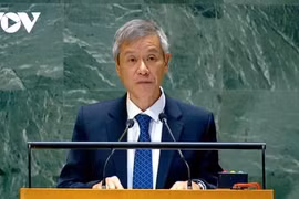 Ambassador Nguyen Minh Vu, Assistant to the Vietnamese Minister of Foreign Affairs, speaks at the discussion. (Photo: VOV)