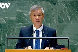 Ambassador Nguyen Minh Vu, Assistant to the Vietnamese Minister of Foreign Affairs, speaks at the discussion. (Photo: VOV)