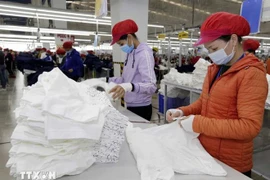 Workers produce apparel for export at the Tinh Loi Garment Co. Ltd in Hai Duong province. (Photo: VNA)