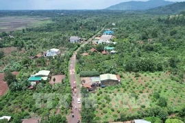 Site clearance is being implemented for Khanh Hoa - Buon Ma Thuot Expressway's section running through Ea Kenh commune of Krong Pac district, Dak Lak province. (Photo: VNA)