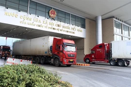 Kim Thành International Border Gate No 2 in Lao Cai province. Lao Cai has proposed the development of a cross-border e-commerce zone or a free trade zone to promote trade with China. (Photo: VNA)