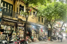 Shops selling oriental medicine on Lan Ong street. (Photo: VietnamPlus)