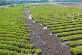 Reviving 'Green Belt' in south-central region