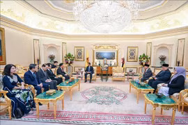 The meeting between NA Vice Chairman Nguyen Khac Dinh and Sultan of Brunei Haji Hassanal Bolkiah in Bandar Seri Begawan on August 10 (Photo: VNA)