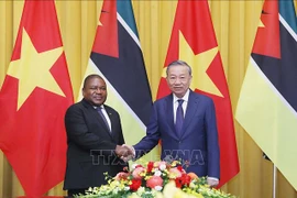 Party General Secretary and State President To Lam (right) and Mozambican President Filipe Jacinto Nyusi at their meeting in Hanoi on September 9. (Photo: VNA)