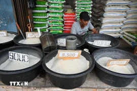 A rice store in Jakarta, Indonesia (Photo: AFP/VNA)