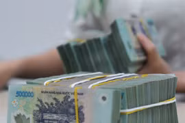 A staff of a State-owned bank counts money at a branch in Hanoi. By the end of June 2024, capital of the group of private banks doubled that of the group of State-owned banks. (Photo: vnbusiness.vn)