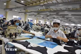 Workers at the factory of the Viet An International Co. Ltd in Phu My town, Ba Ria - Vung Tau province (Photo: VNA)